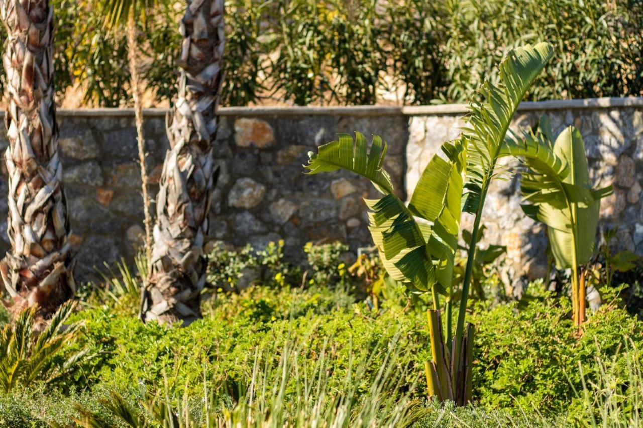 Istia Luxury Villas Kárpathos Eksteriør billede
